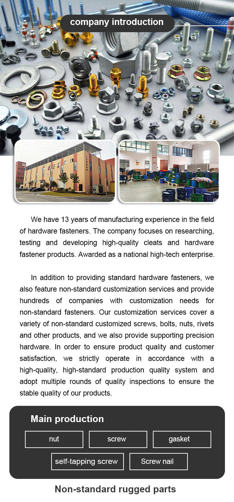 Faselesi hardware-Company Introduzione Dettagli 2-01